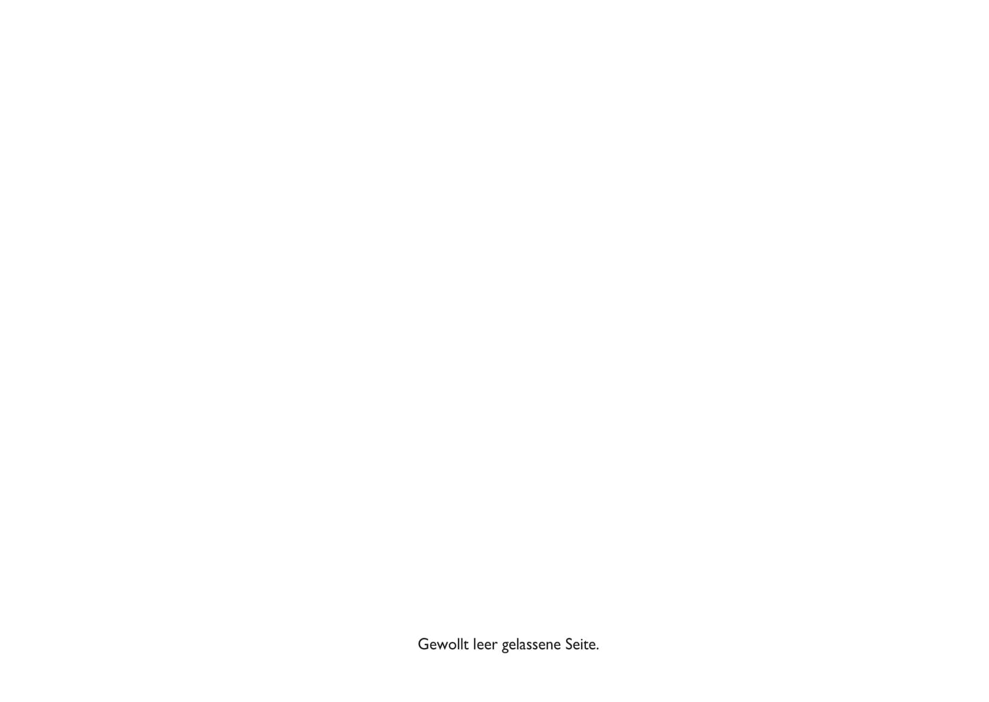 2010-2011 Fiat Sedici Gebruikershandleiding | Duits