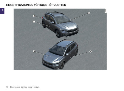 2024-2025 Dacia Sandero/Sandero Stepway Manuel du propriétaire | Français