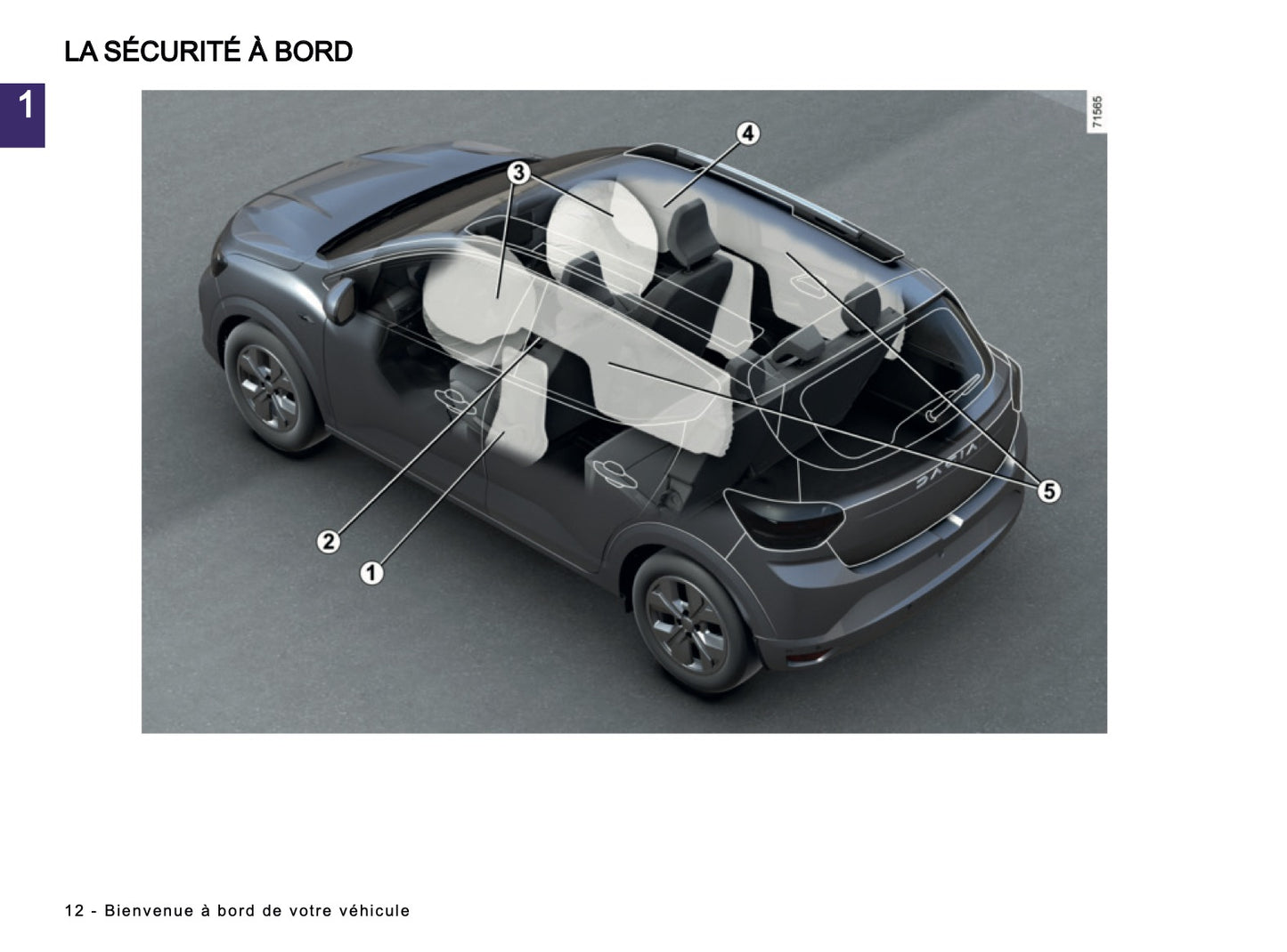 2025-2026 Dacia Sandero/Sandero Stepway Manuel du propriétaire | Français