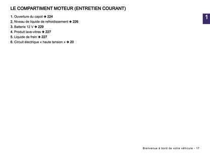 2026 Dacia Spring Electric Owner's Manual | French
