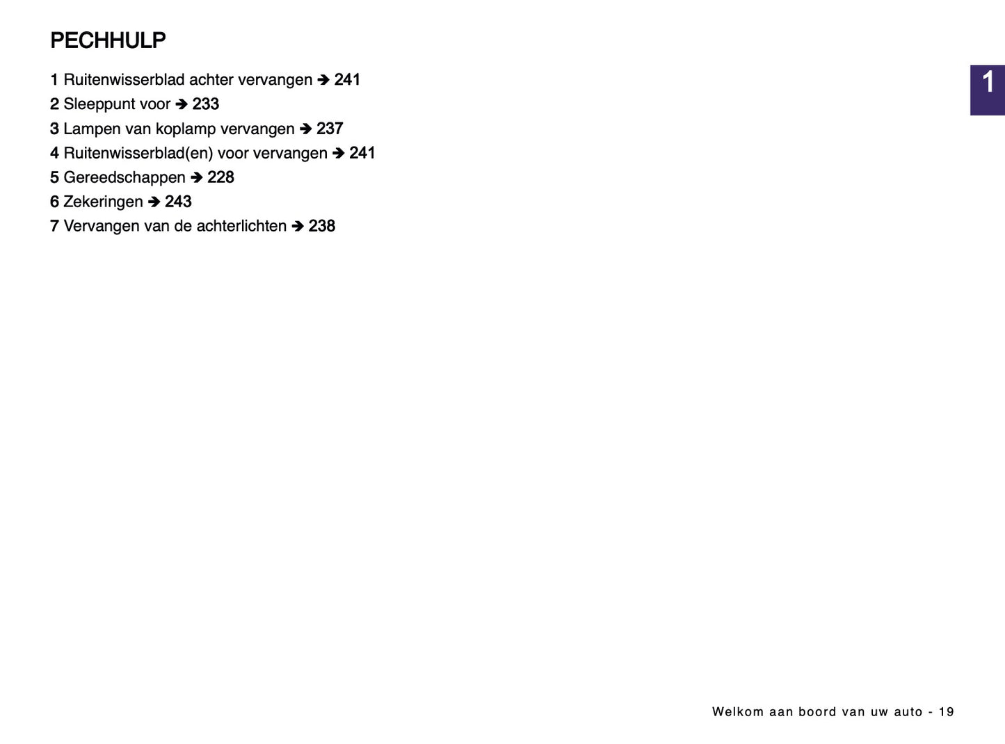 2024-2025 Dacia Spring Electric Gebruikershandleiding | Nederlands