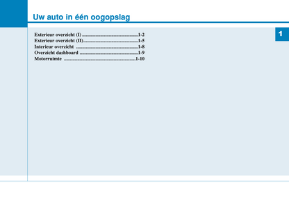 2017-2018 Hyundai i20 Owner's Manual | Dutch