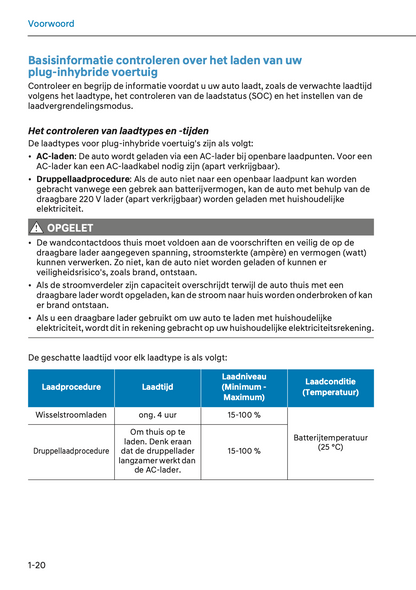 2024-2025 Hyundai Santa Fe Hybrid/Plug-in-Hybrid Gebruikershandleiding | Nederlands