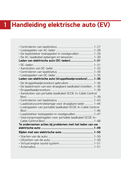 2021-2022 Kia Soul EV Bedienungsanleitung | Niederländisch