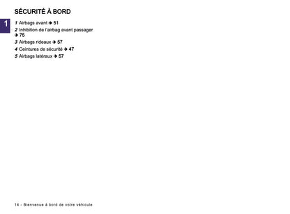 2024-2025 Renault Arkana Owner's Manual | French