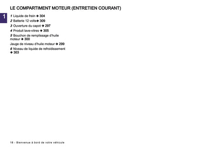 2024-2025 Renault Arkana Owner's Manual | French