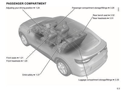 2021-2022 Renault Arkana Owner's Manual | English