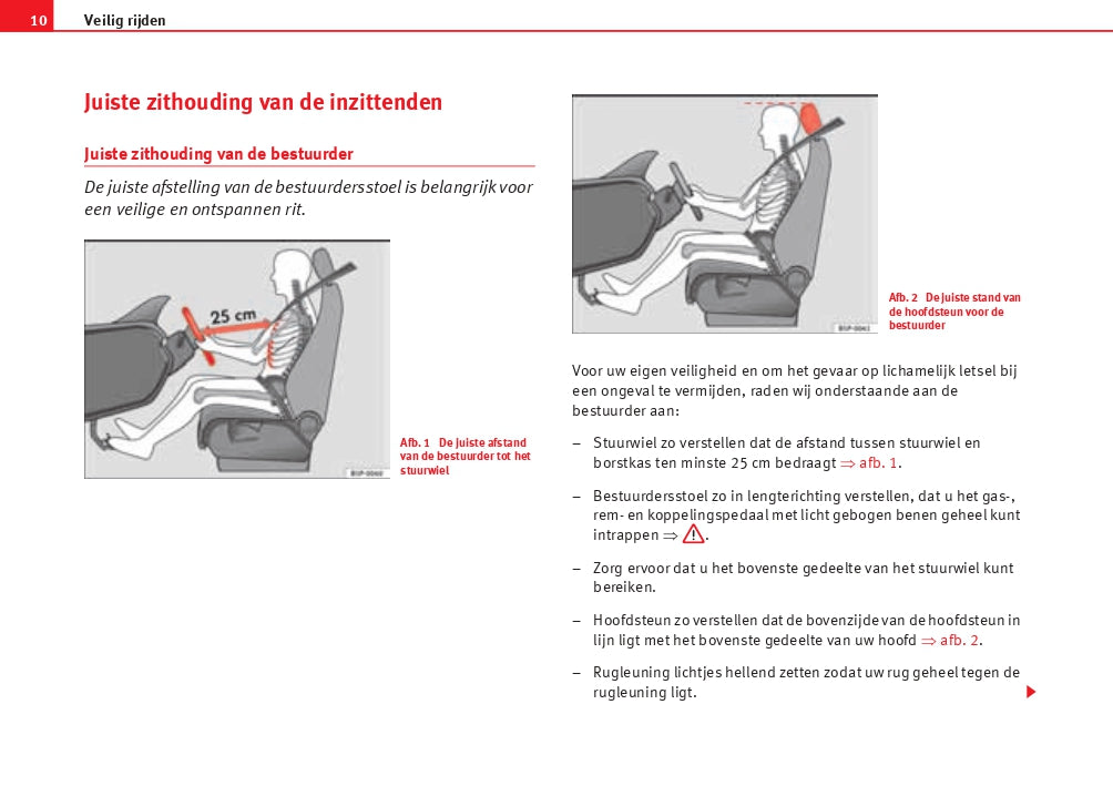 2010 Seat Ibiza Gebruikershandleiding | Nederlands