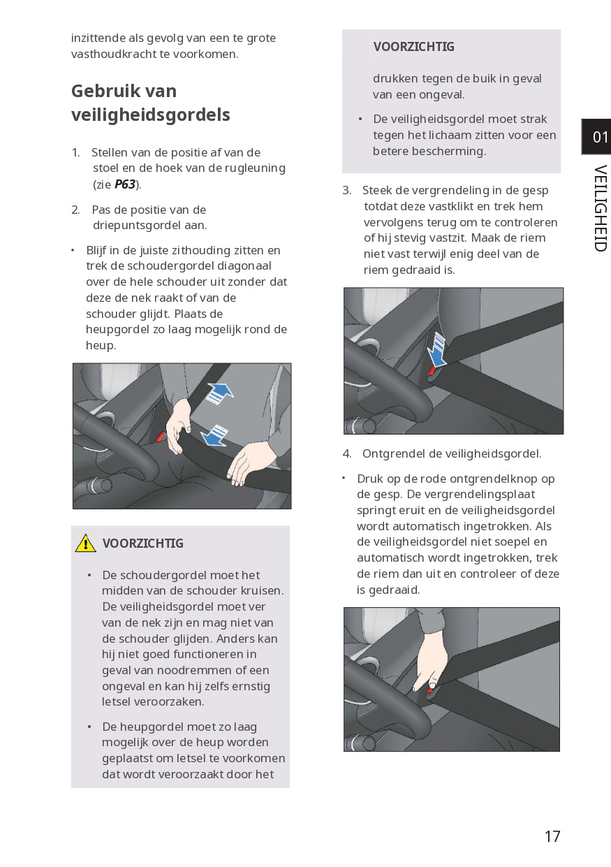 2023-2024 BYD Dolphin Owner's Manual | Dutch