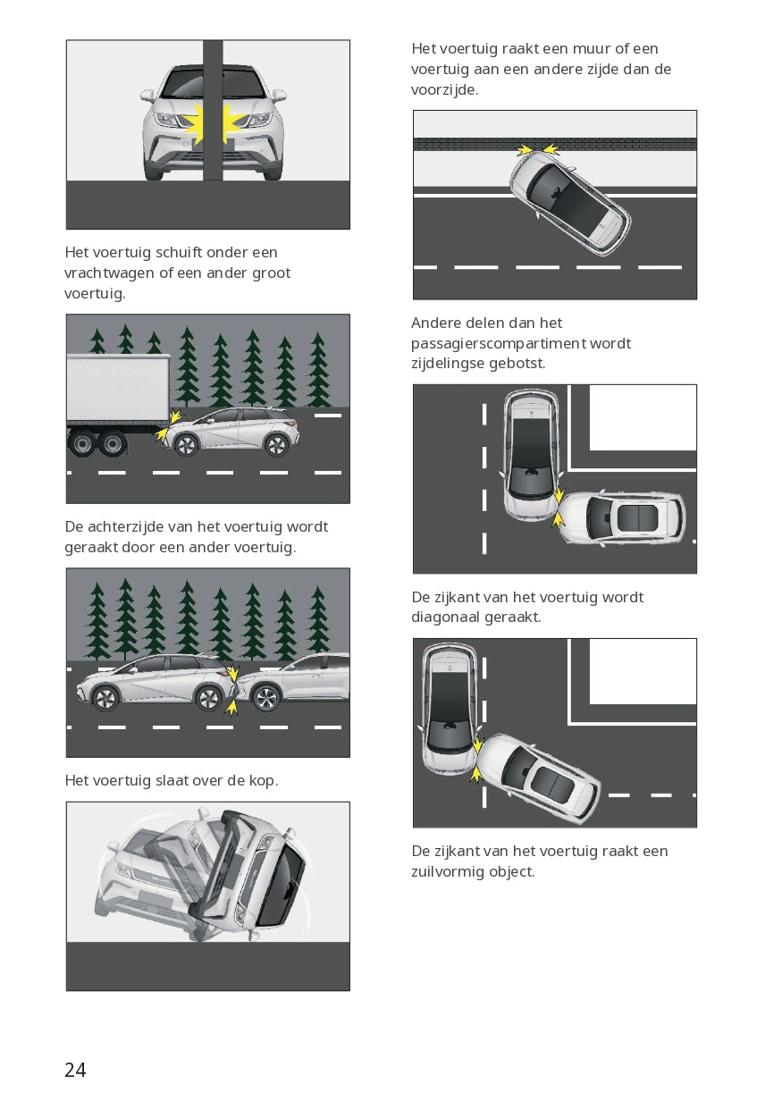 2023-2024 BYD Dolphin Owner's Manual | Dutch