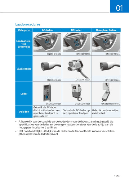 2021-2022 Hyundai Ioniq 5 Owner's Manual | Dutch