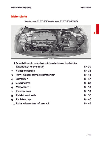 2021-2022 Kia Rio Gebruikershandleiding | Nederlands