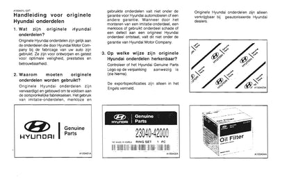 2001-2002 Hyundai Santa Fe Gebruikershandleiding | Nederlands