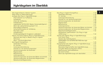 2017-2018 Kia Niro Hybrid Bedienungsanleitung | Deutsch