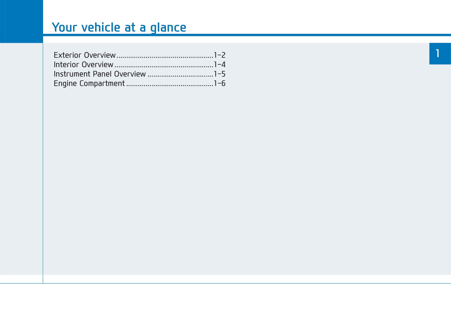 2018-2019 Hyundai Veloster Gebruikershandleiding | Spaans