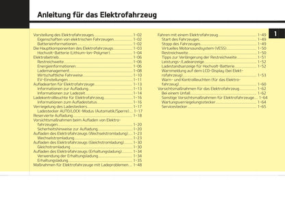 2021-2022 Kia e-Niro Owner's Manual | German