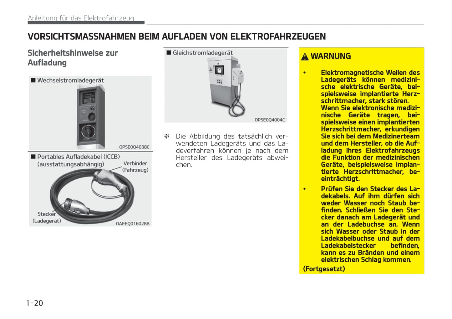 2021-2022 Kia e-Niro Owner's Manual | German