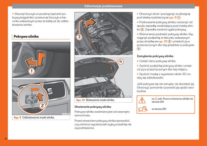 2013-2018 Seat Toledo Gebruikershandleiding | Pools