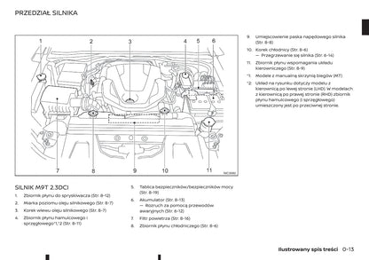 2018-2019 Renault Alaskan Owner's Manual | Polish