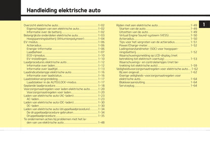 2021-2022 Kia e-Niro Owner's Manual | Dutch