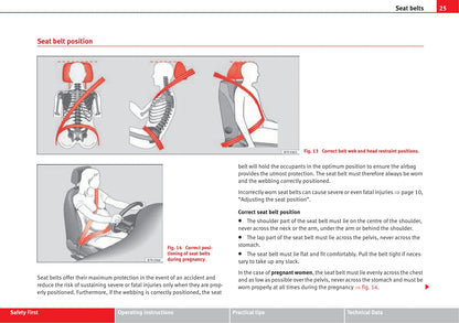 2010-2011 Seat Alhambra Owner's Manual | English