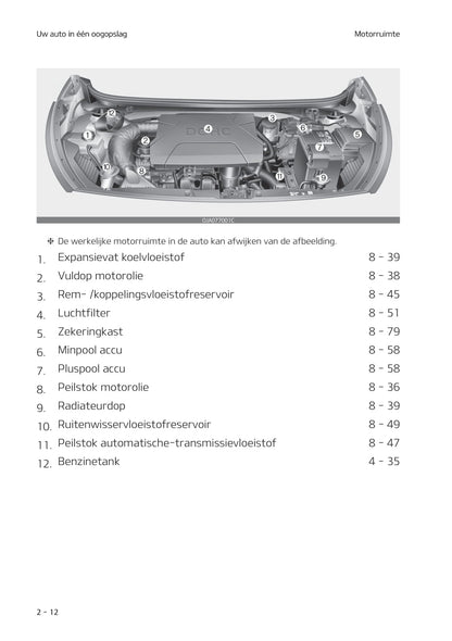 2020-2021 Kia Picanto Owner's Manual | Dutch