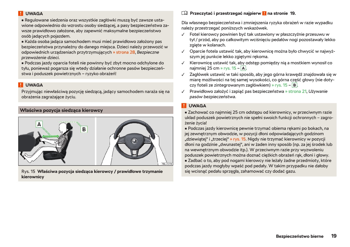 2018-2019 Skoda Rapid Gebruikershandleiding | Pools