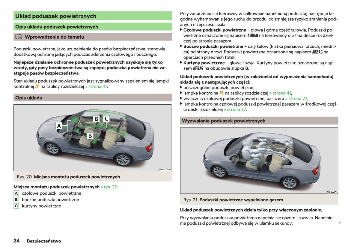 2018-2019 Skoda Rapid Gebruikershandleiding | Pools