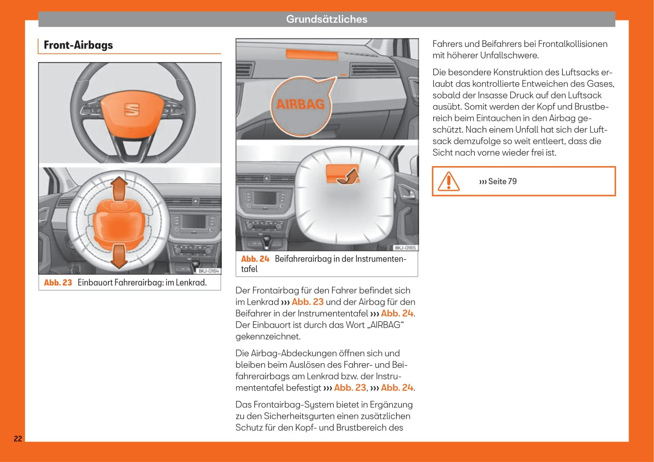 2018-2019 Seat Ibiza Owner's Manual | German