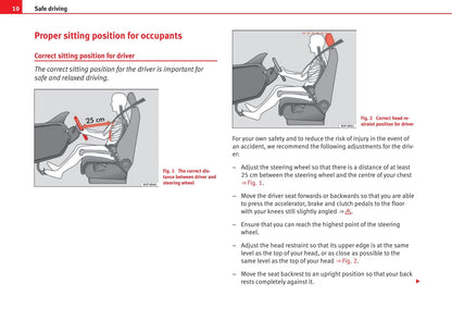 2008-2012 Seat Ibiza Bedienungsanleitung | Englisch