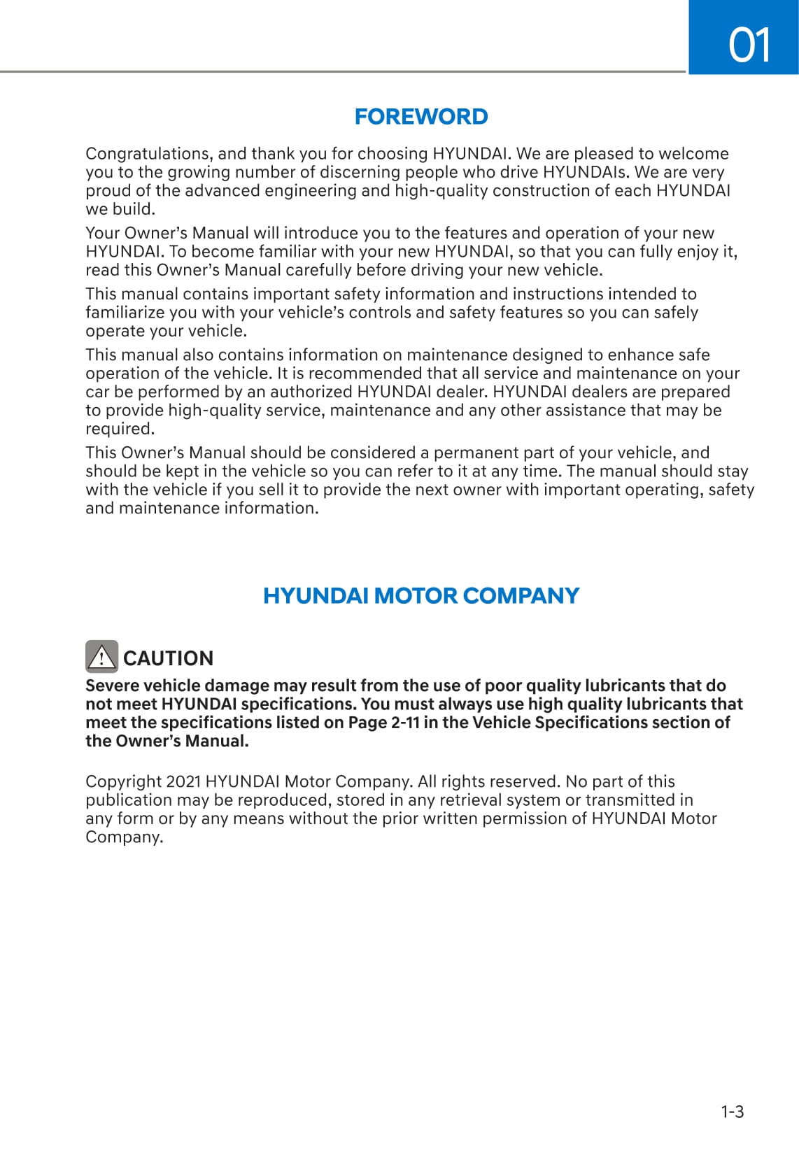 2021-2022 Hyundai Ioniq 5 Bedienungsanleitung | Englisch