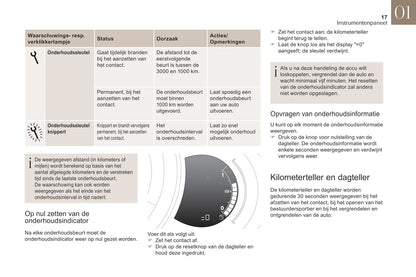 2018-2019 DS DS 3 Bedienungsanleitung | Niederländisch