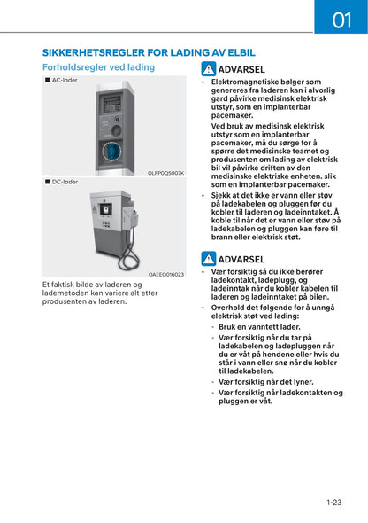 2021-2022 Hyundai Kona Electric Bedienungsanleitung | Norsk