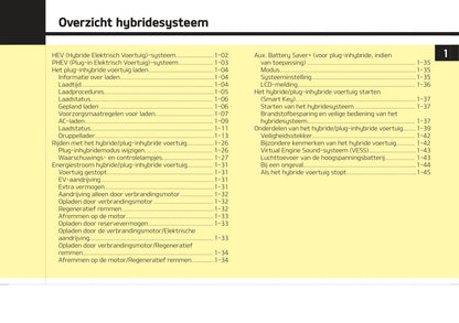 2019-2020 Kia Optima Hybrid Bedienungsanleitung | Niederländisch