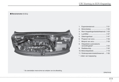 2010-2011 Hyundai i10 Bedienungsanleitung | Niederländisch