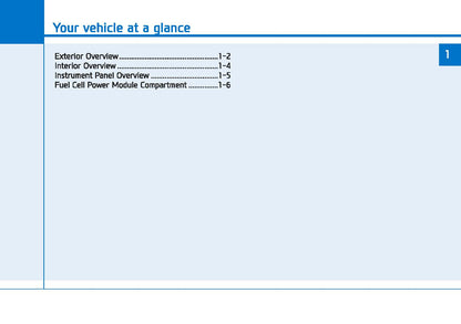 2019 Hyundai Nexo Owner's Manual | English