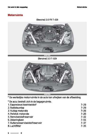 2020-2021 Kia Stinger Owner's Manual | Dutch